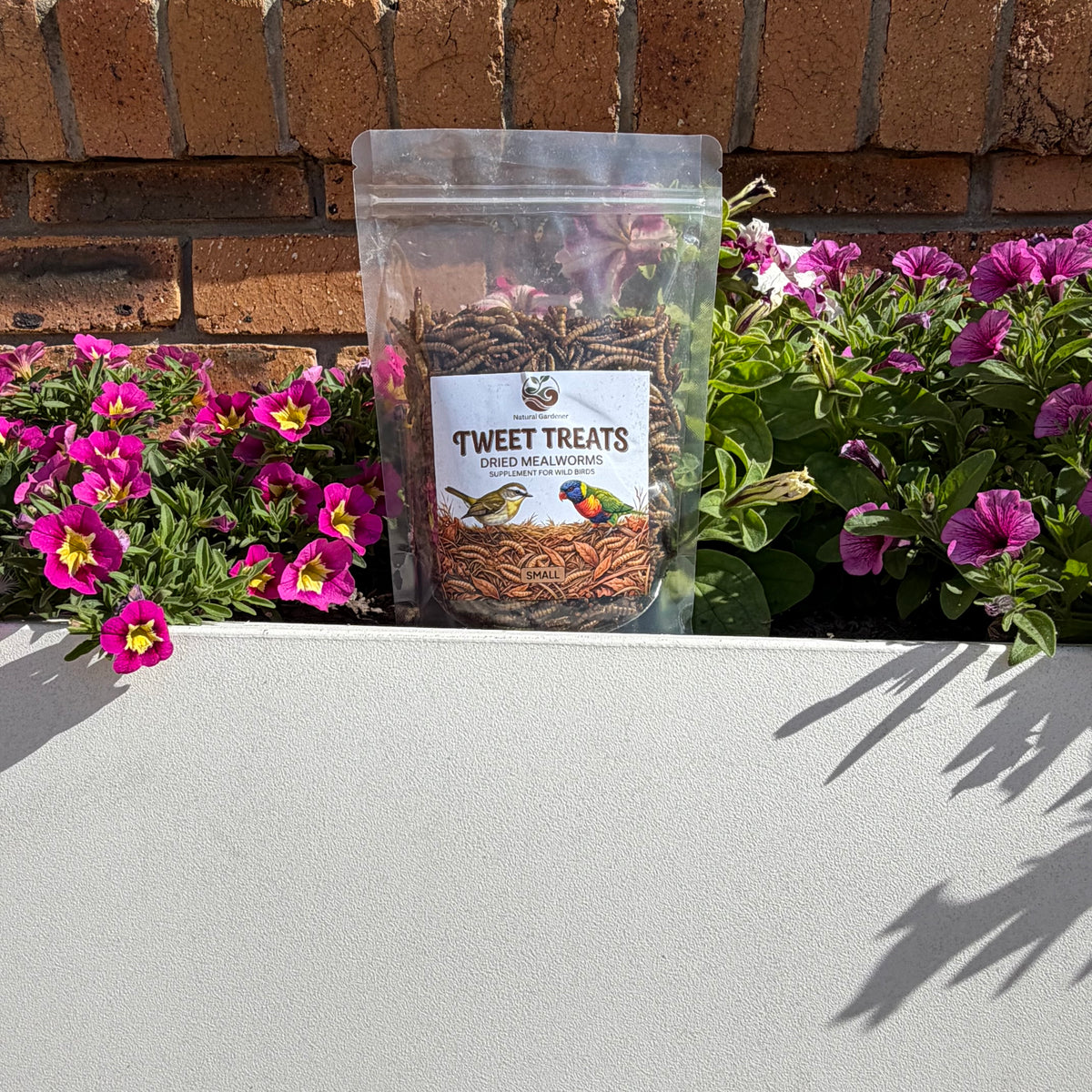 Dried Mealworms