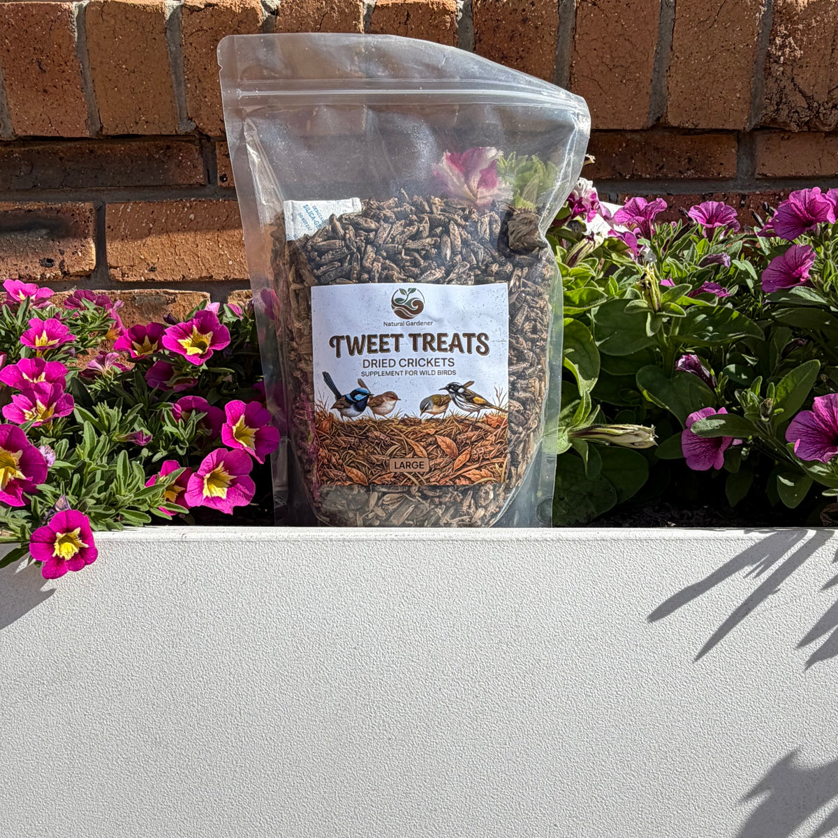 Dried Crickets