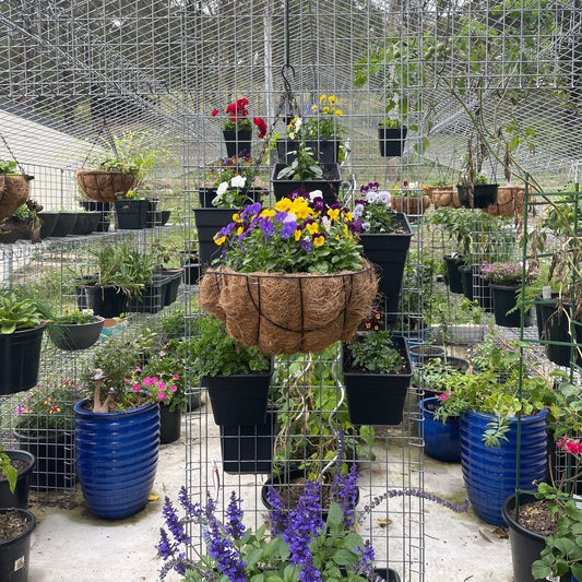 The Clean, Green Way to Grow in Small Spaces