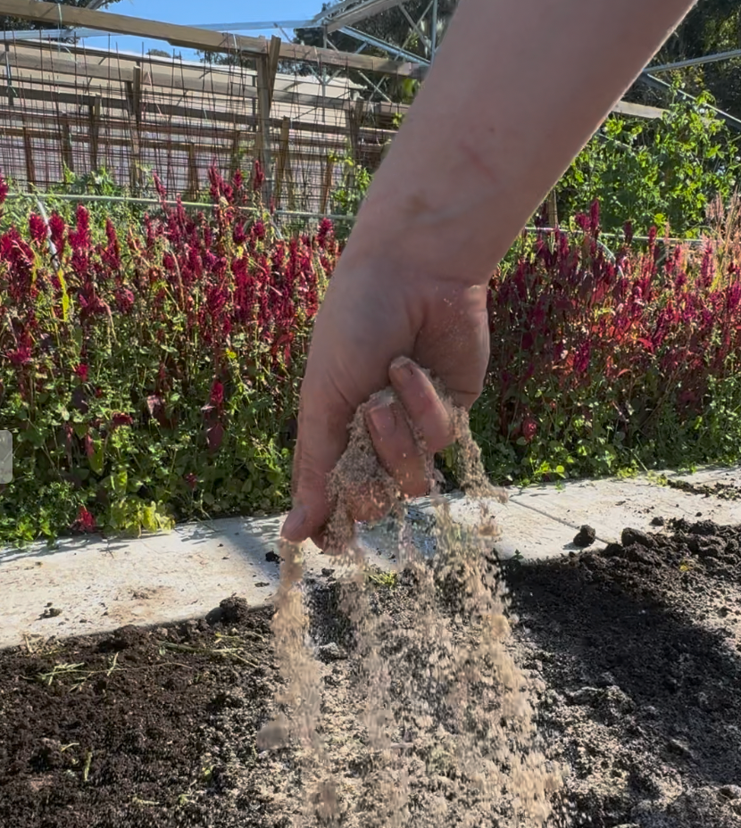 How to apply BioMeal Flourish Fertiliser
