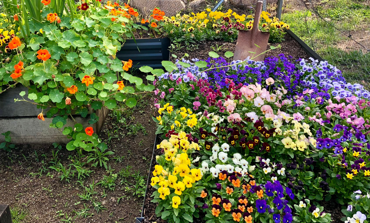 Natural Gardening Products