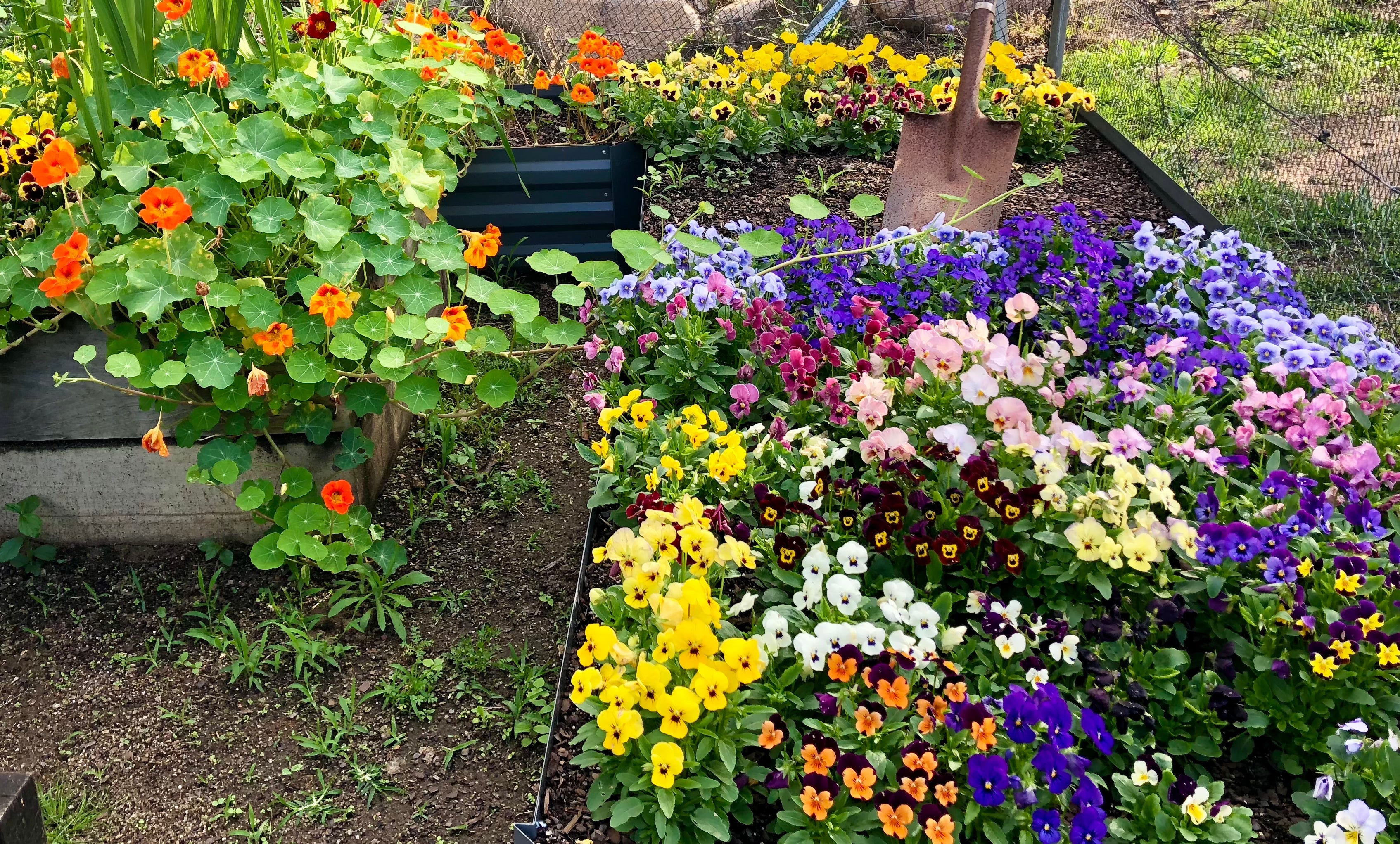 Natural Gardening Products