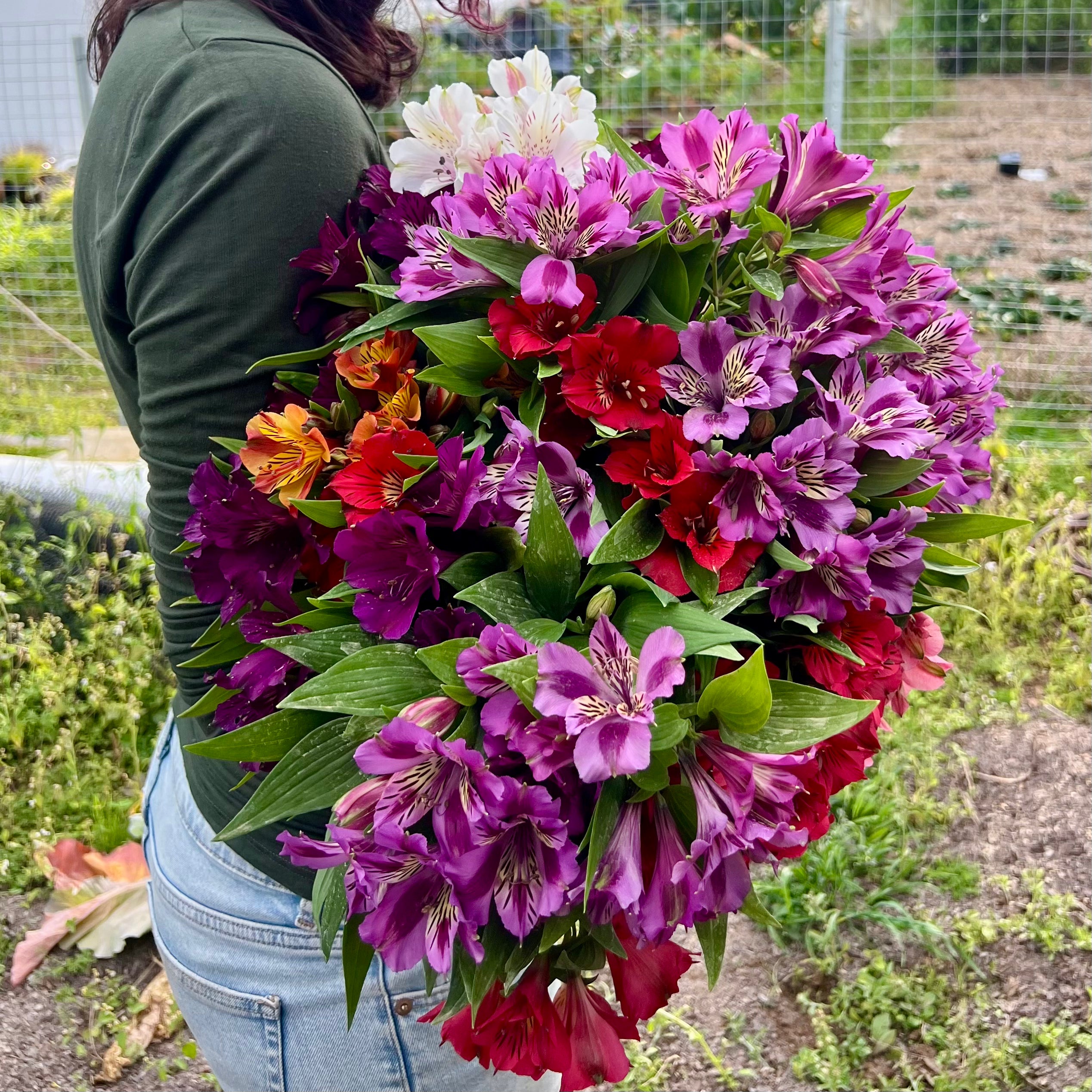 Person holding a large bouquet of colorful flowers outdoors.