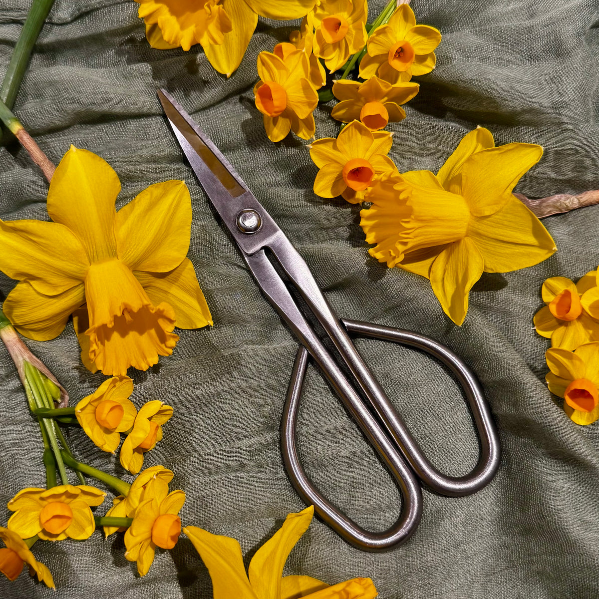 A pair of metal pruning shears with a matte silver finish, arranged on a textured olive green fabric and surrounded by bright yellow daffodils.