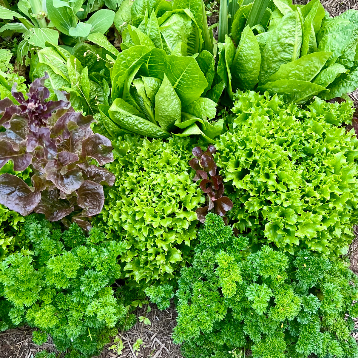 Nature's complete nutrient matrix