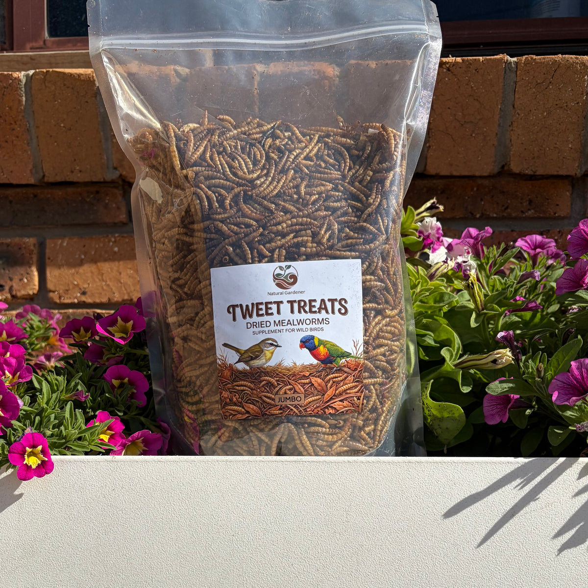 Dried Mealworms