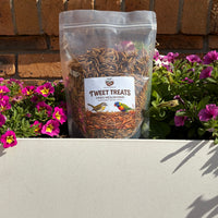 Dried Mealworms