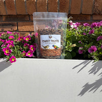 Dried Mealworms