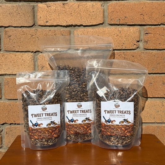 Dried Crickets