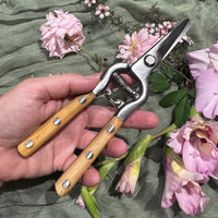 A hand holding a pair of pruning shears with light wood handles and silver metal blades, surrounded by pink roses on a textured sage green fabric background.