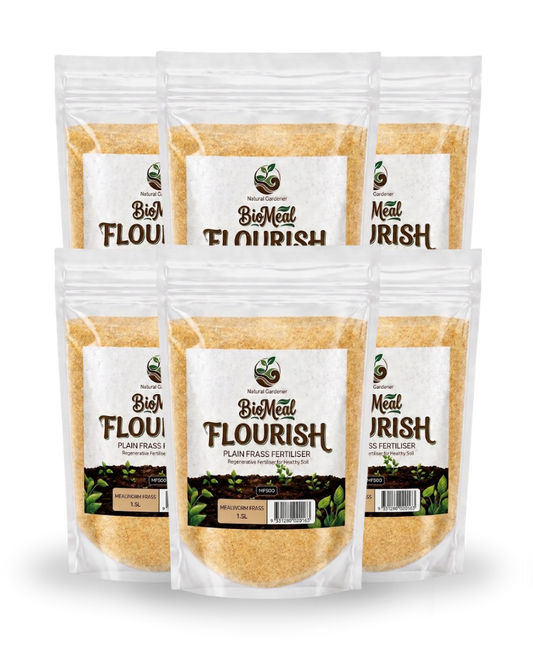 Six stand-up pouches of BigMeal Flourish Plant-Based Flour arranged in two rows on a white background. 