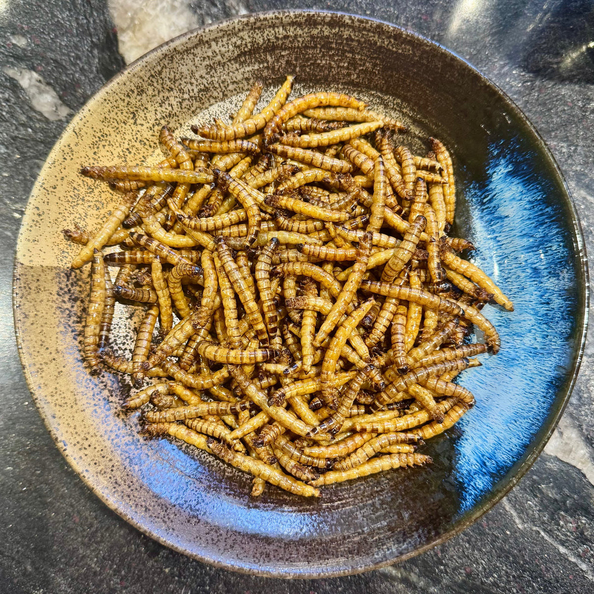 Dried Giant Mealworms - Zophobas Morio - Tank Terrarium Australia Dried Insects